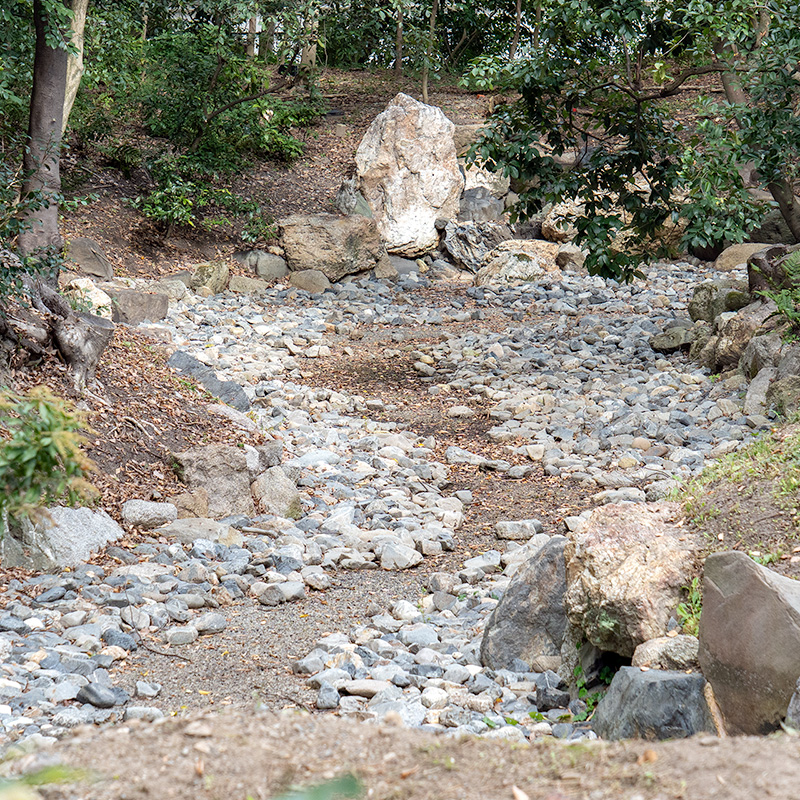 近衞邸跡池泉庭園丨日本京都-25