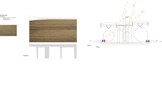 德国雷豪市生物多样性中心设计丨Miralles Tagliabue EMBT-59