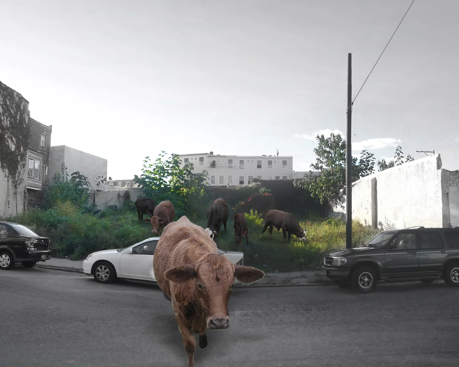 费城农场城（注：Farmadelphia可能是一个结合了farm（农场）和Philadelphia（费城）创造出来的词，推测有这样的含义，若有特定背景需结合实际情况） 丨FRONT STUDIO ARCHITECTS-1