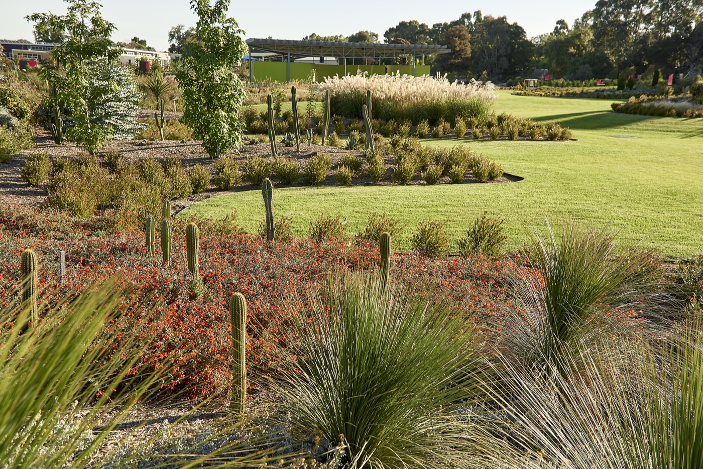 未来花园丨澳大利亚丨泰勒·卡利尔景观设计事务所-20