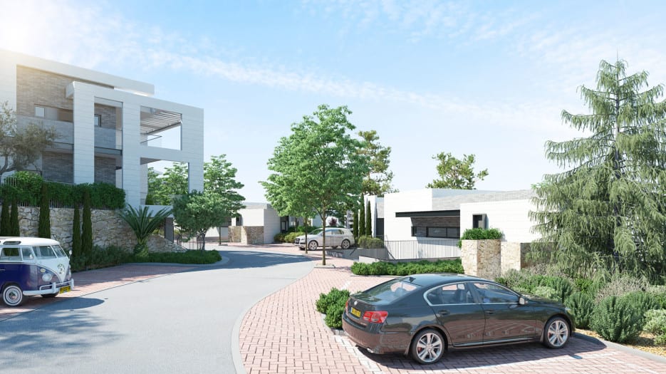 cows - Ando Studio-4