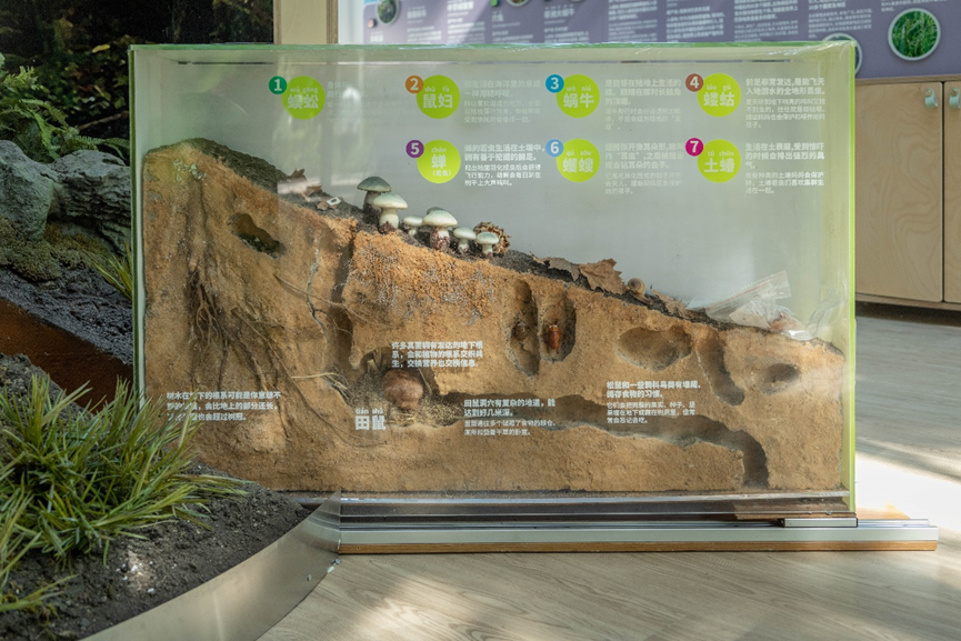 案例 | 上海首个在公园中的自然中心——和平公园自然中心-42