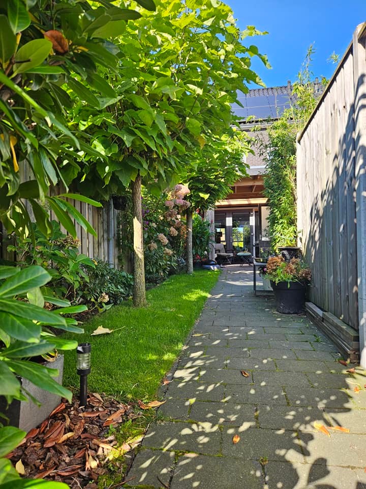 Margreet的带露台小花园丨荷兰阿森-40