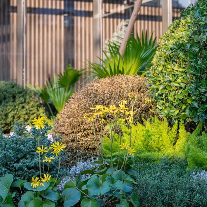 古城记忆花园 · 无锡安居仁恒夹城里丨中国无锡丨MEDG 现工设计-84