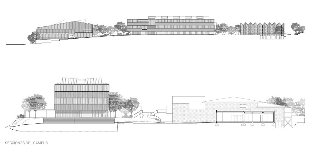 西班牙伦尼米德大学校园和创始人大厅(2020)(Rojo/Fernández-Shaw)设计-43