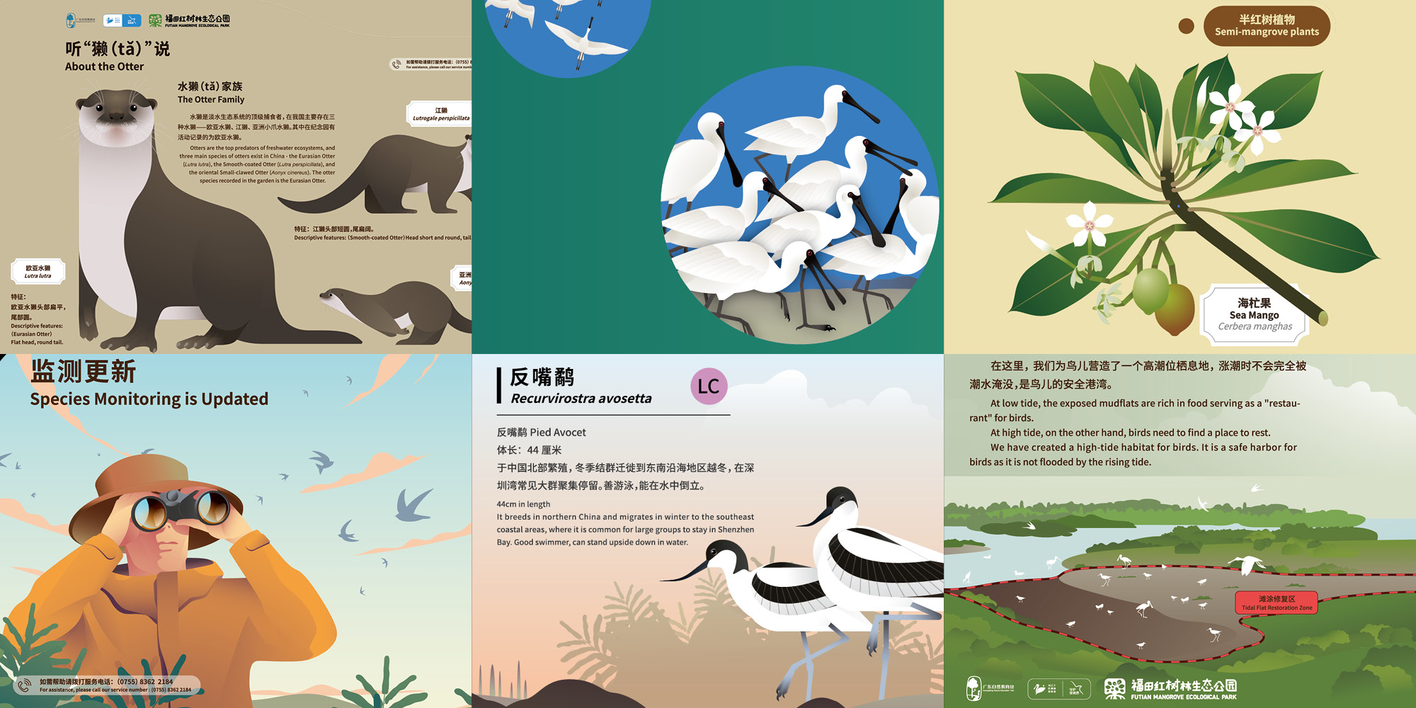 深圳红树林生态公园户外科普互动导视设计丨中国深圳丨共生领域(北京)文化传媒有限公司-13