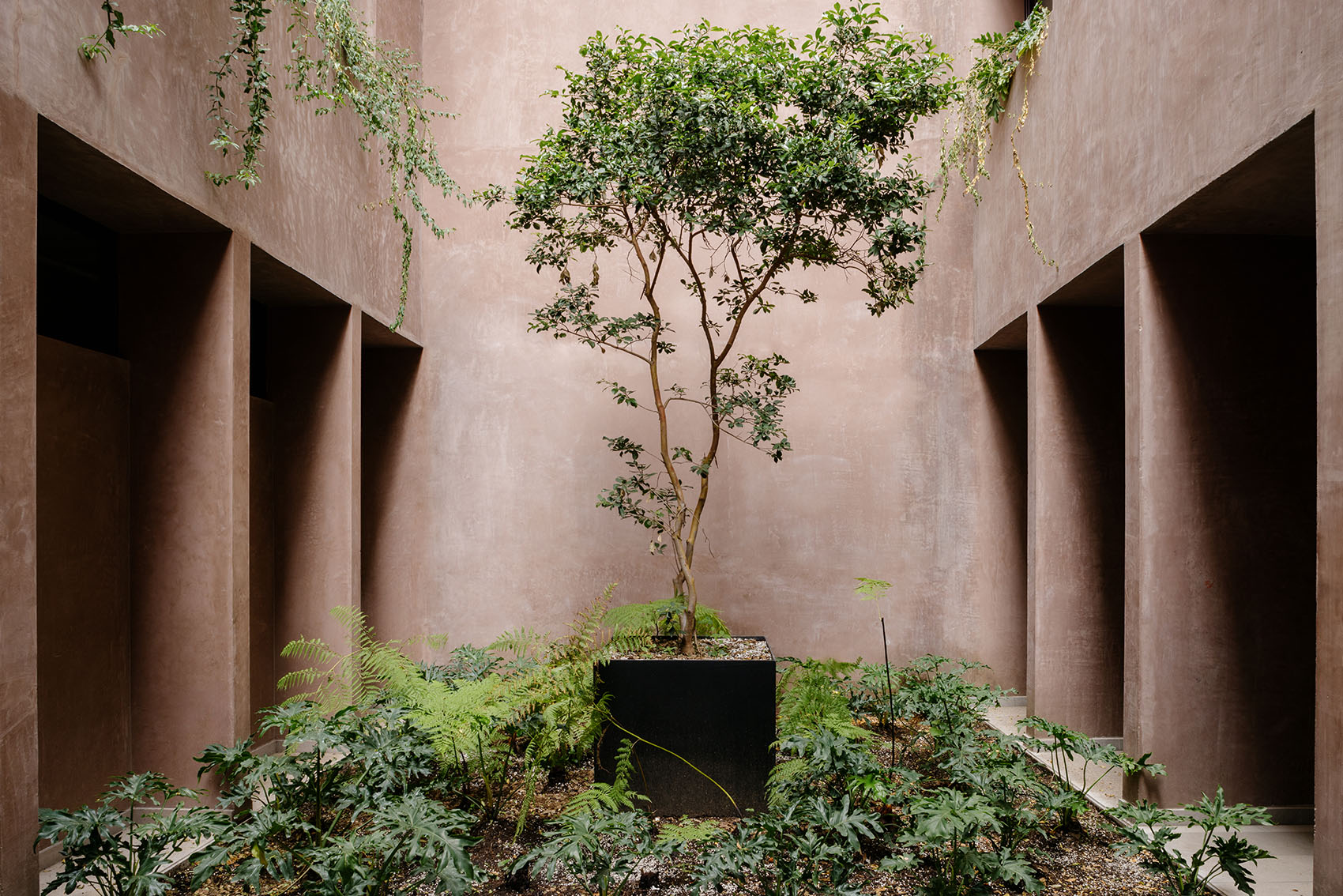 伦敦街187号住宅楼丨墨西哥墨西哥城丨CCA｜Bernardo Quinzaños-18