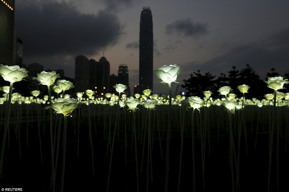 Light Rose Garden HK 玫瑰灯海园 – 香港站-24