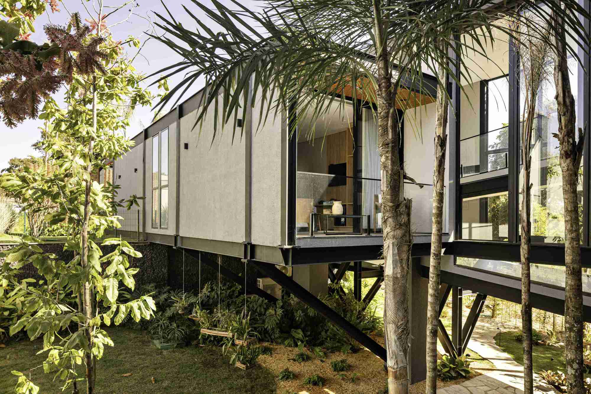 丨巴西戈亚斯-36