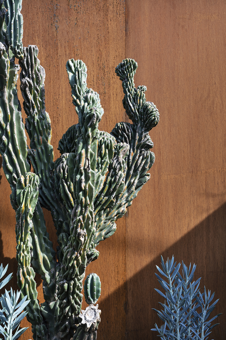 东京久住村丨日本东京丨SUPPOSE DESIGN OFFICE-35