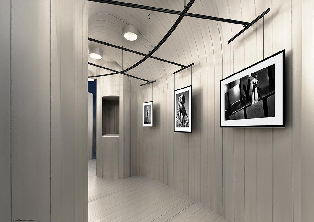 带摄影工作室和画廊的家庭住宅项目-17