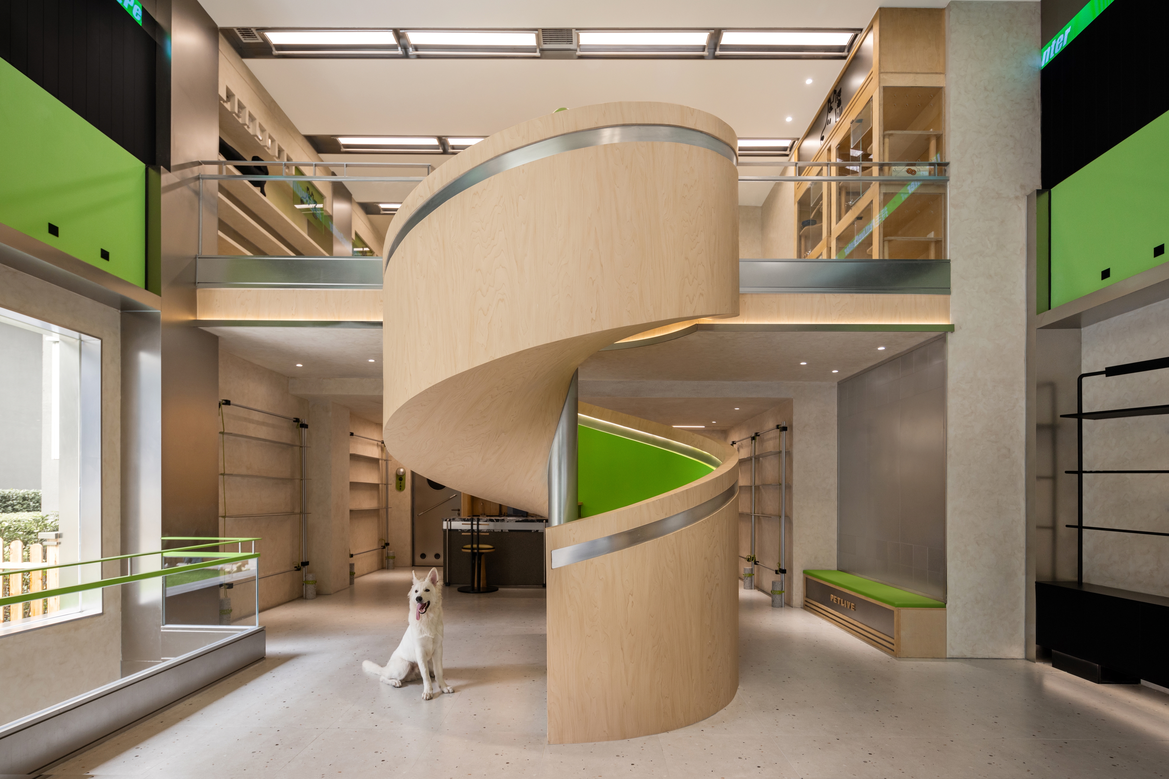 捋毛 Pet Live Center丨中国成都丨E27 Studio-17