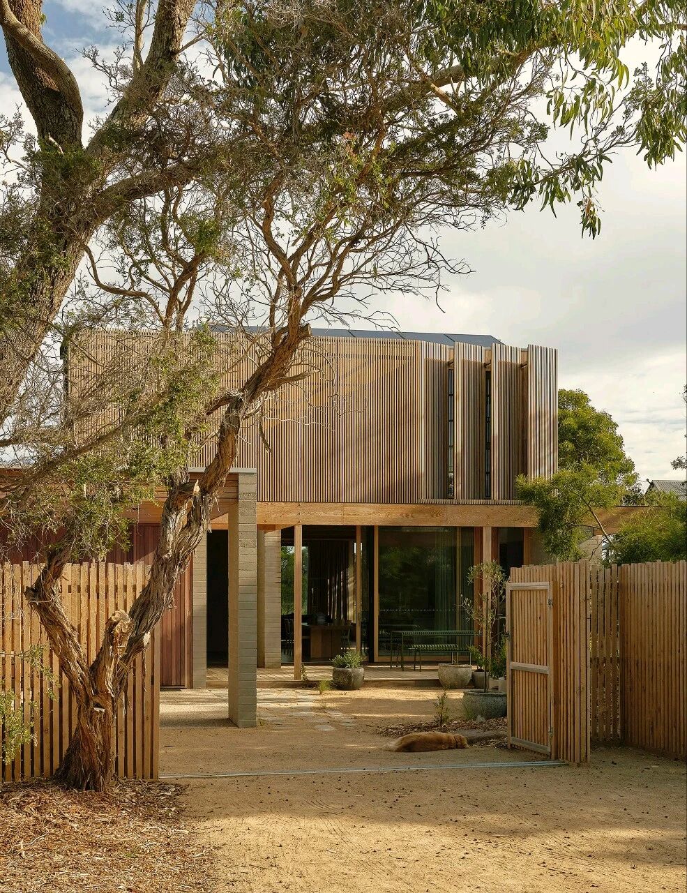 朗斯代尔角住宅丨澳大利亚丨Field Office Architecture-3