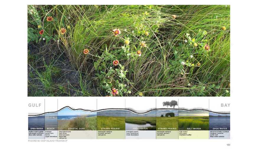美国加尔维斯敦岛国家生态湿地公园 (asla)Galveston Island State Park-14