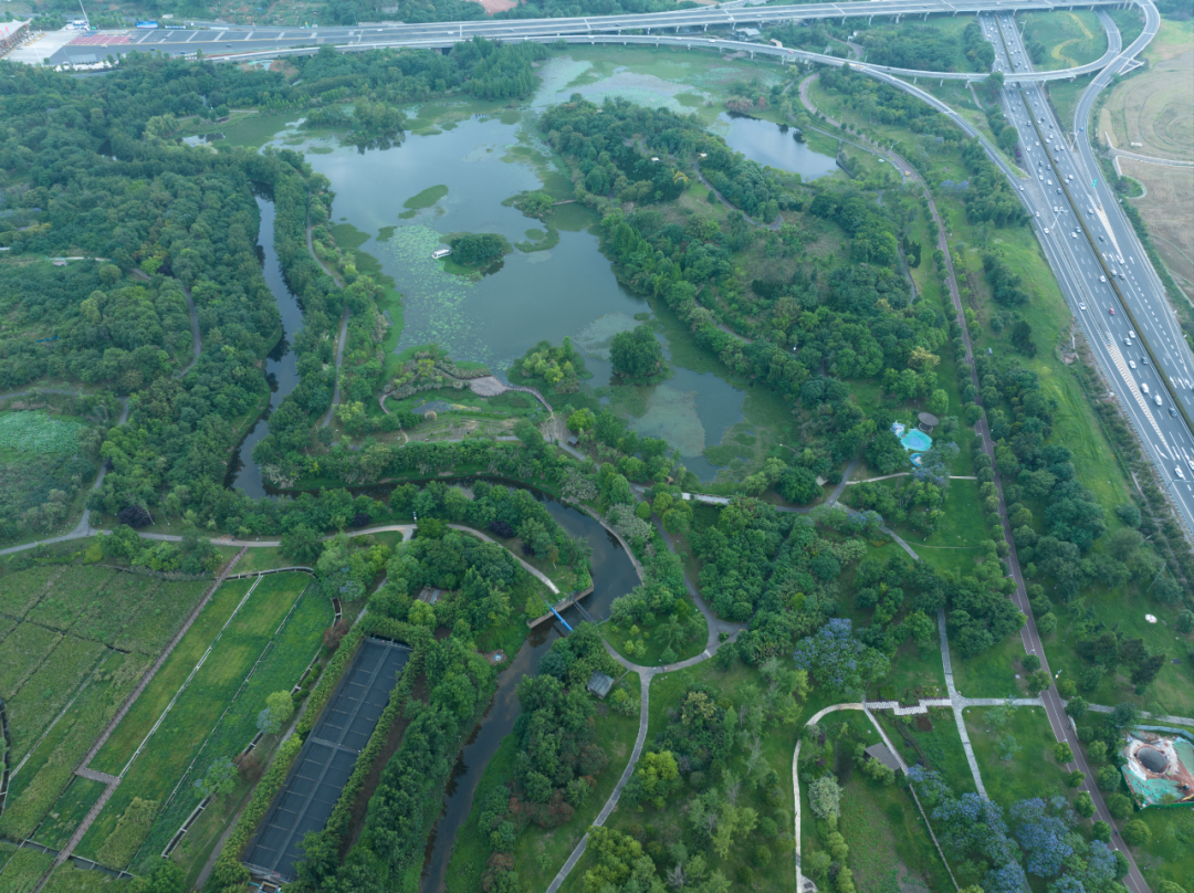 白鹭湾湿地公园自然探索基地丨中国成都丨上海柏熙标识有限公司-11