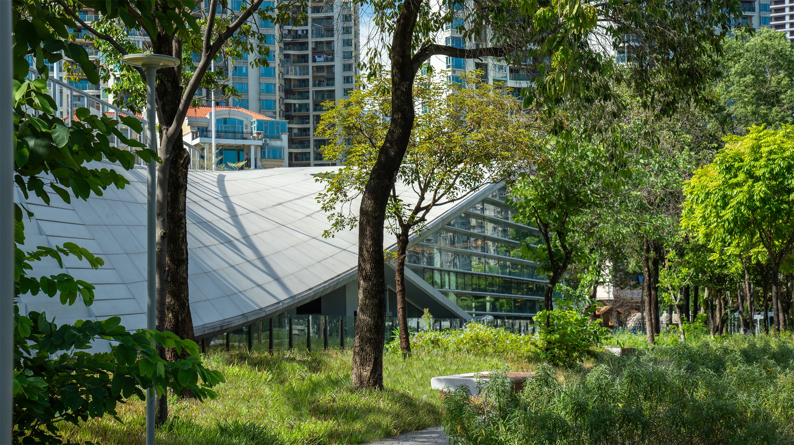 深圳市宝安中学（集团）海天学校丨中国深圳丨HILL 希尔景观-25