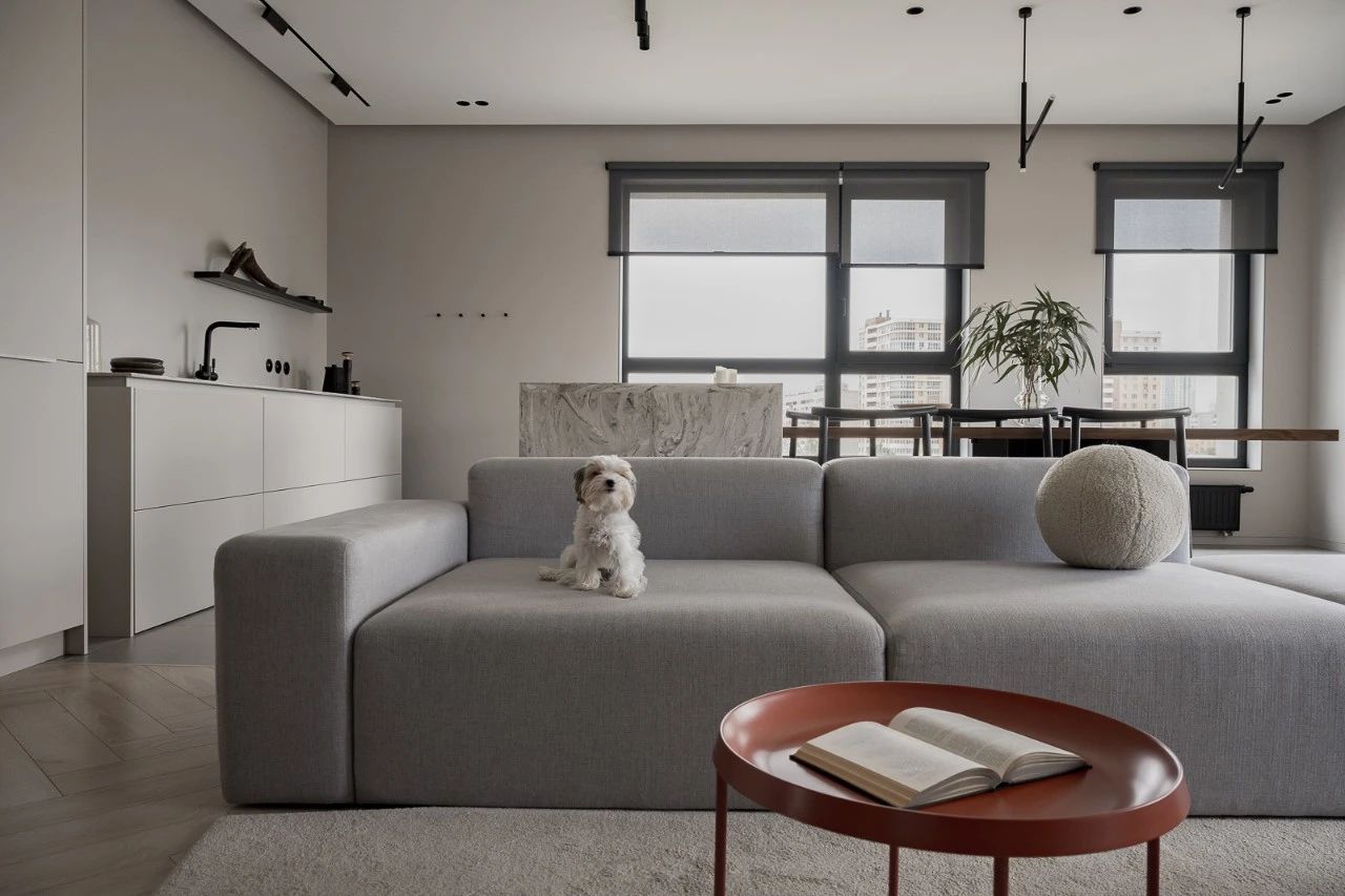 四口之家的现代室内设计-0