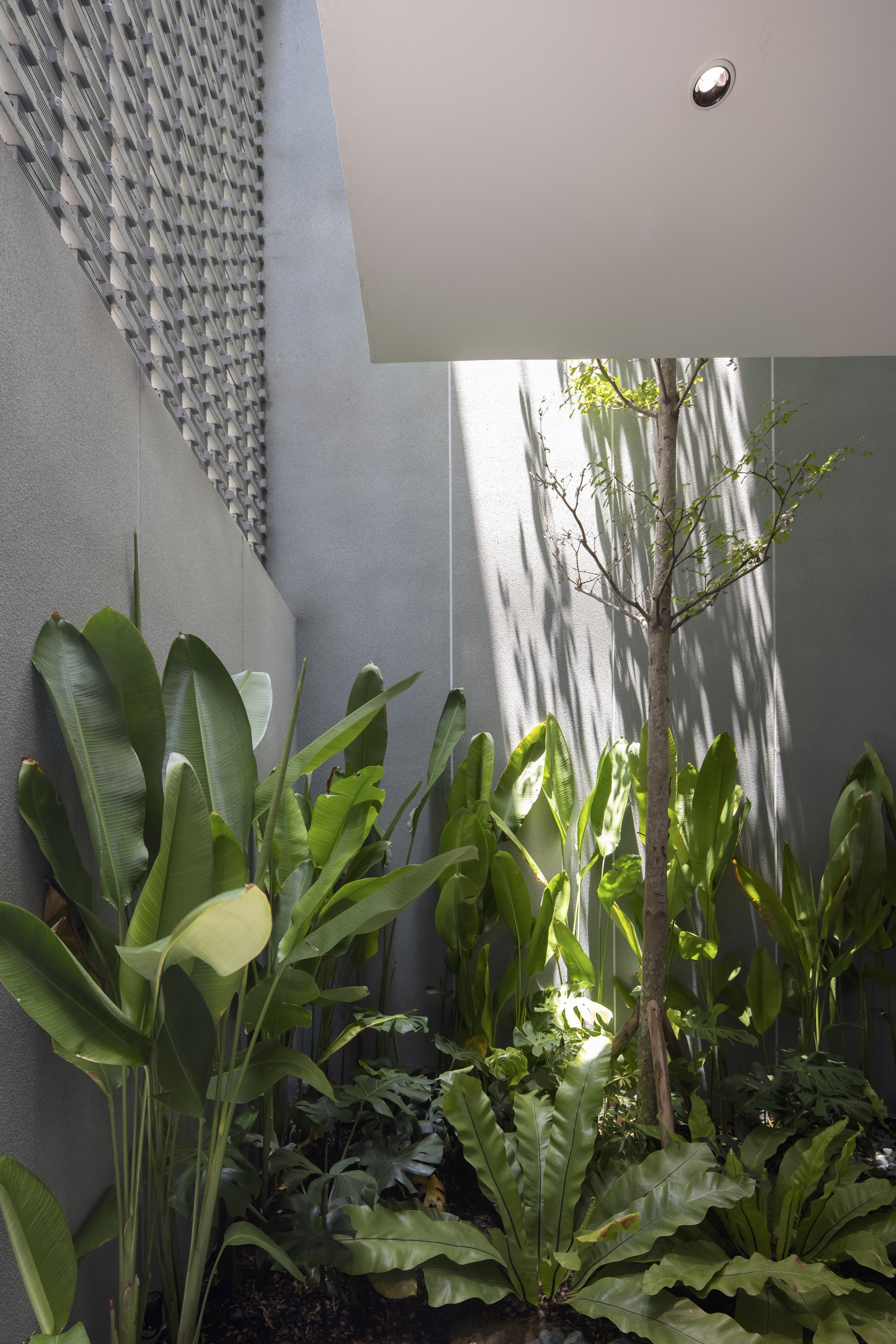 HY 之家丨越南丨TRAN TRUNG Architects-23