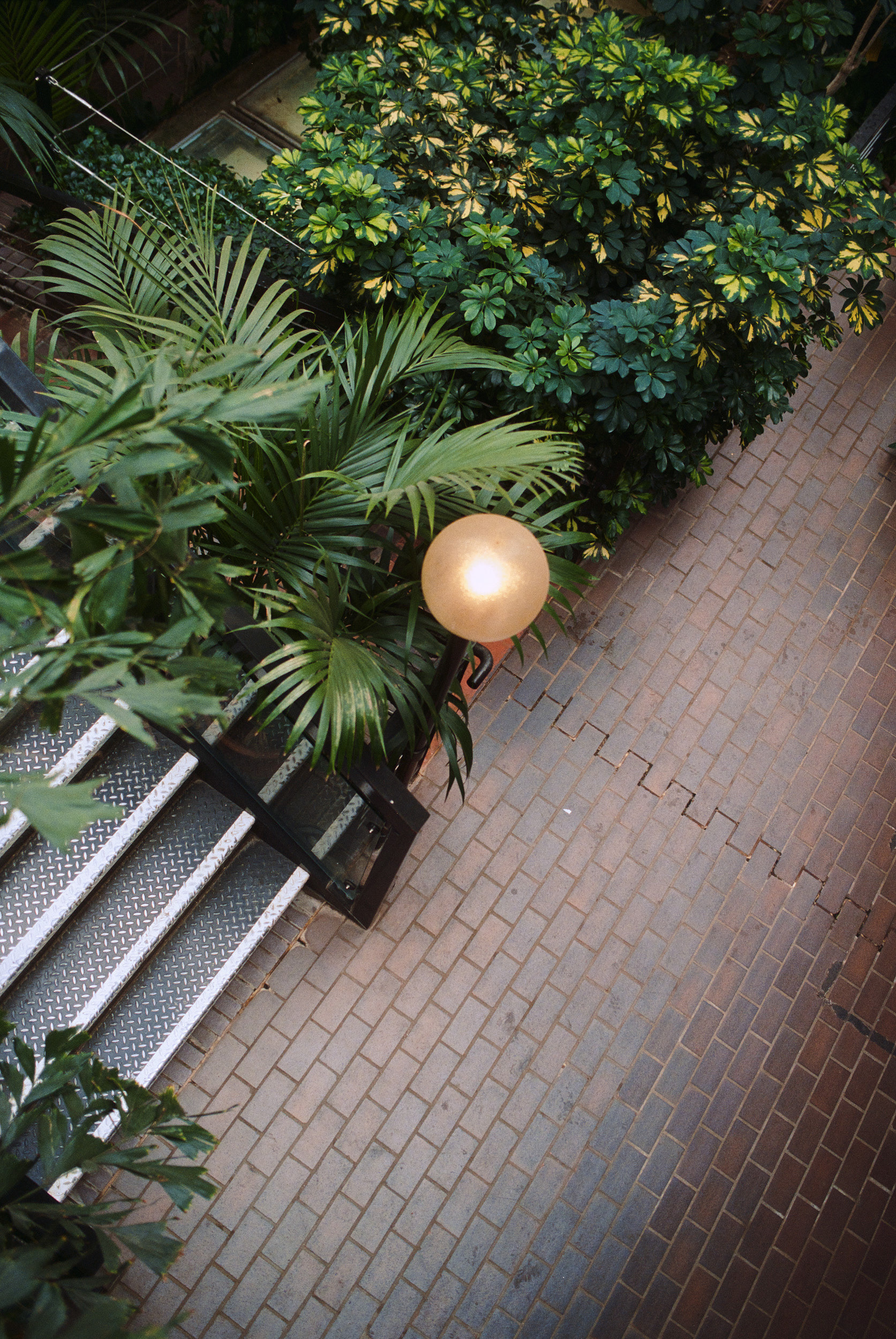 巴比肯温室丨英国伦敦-10