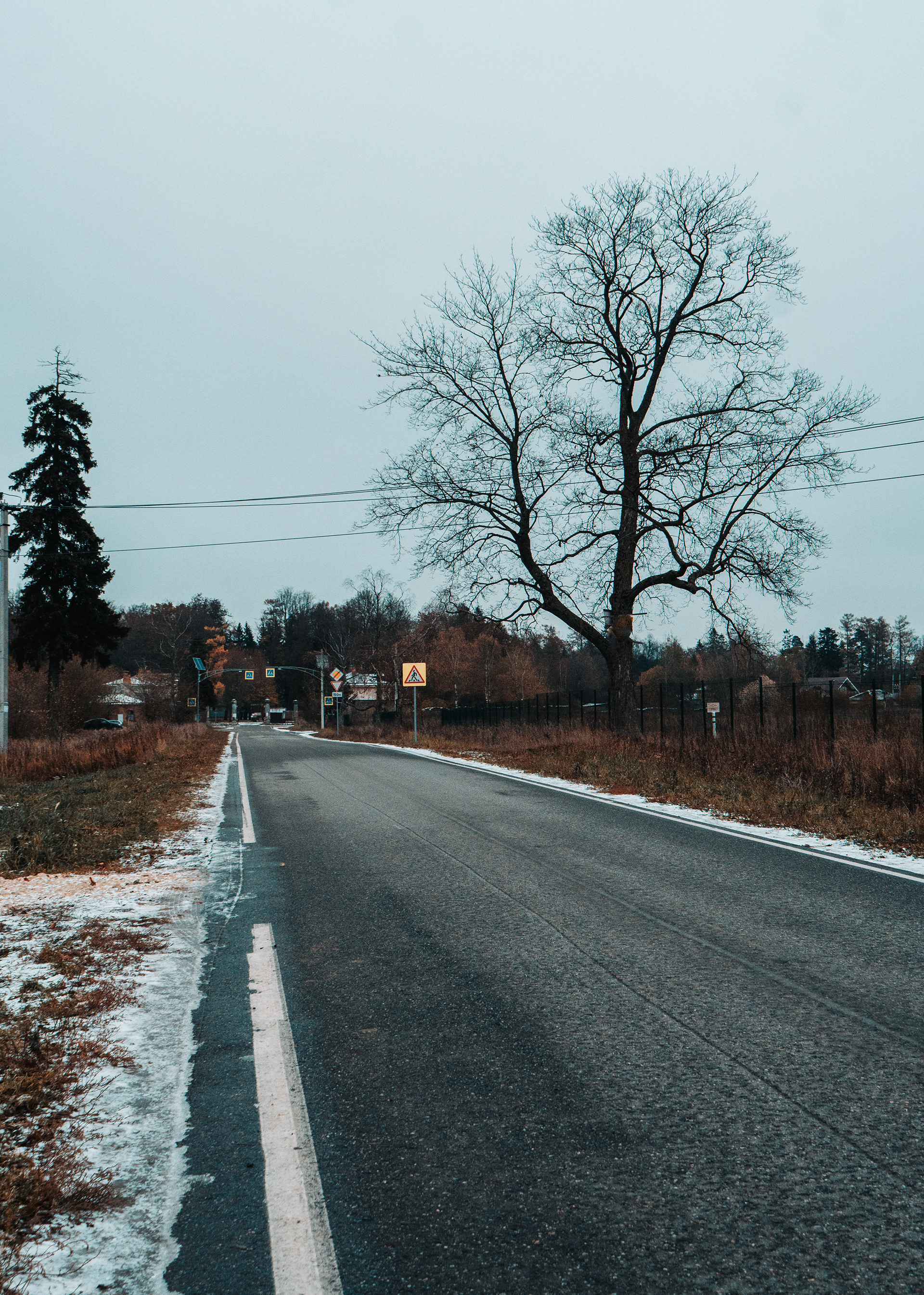 Demidov 庄园周边景观设计-3