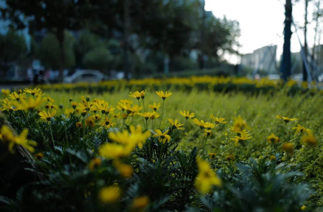 绿色生态虹桥万创中心，打造自然•“家”办公环境-82