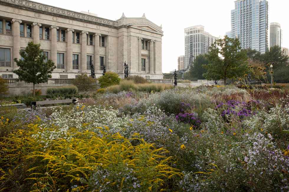 Field Museum of Natural History Landscape | Chicago Native Landscape Design-23