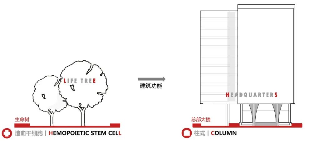 中国干细胞集团总部大楼丨中国上海丨思序设计-20