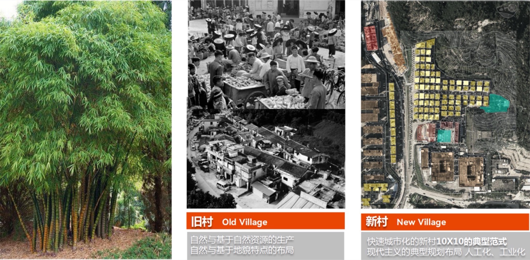 城,村计划·凉帽村改造丨中国深圳丨南沙原创建筑设计工作室等多家团队-26