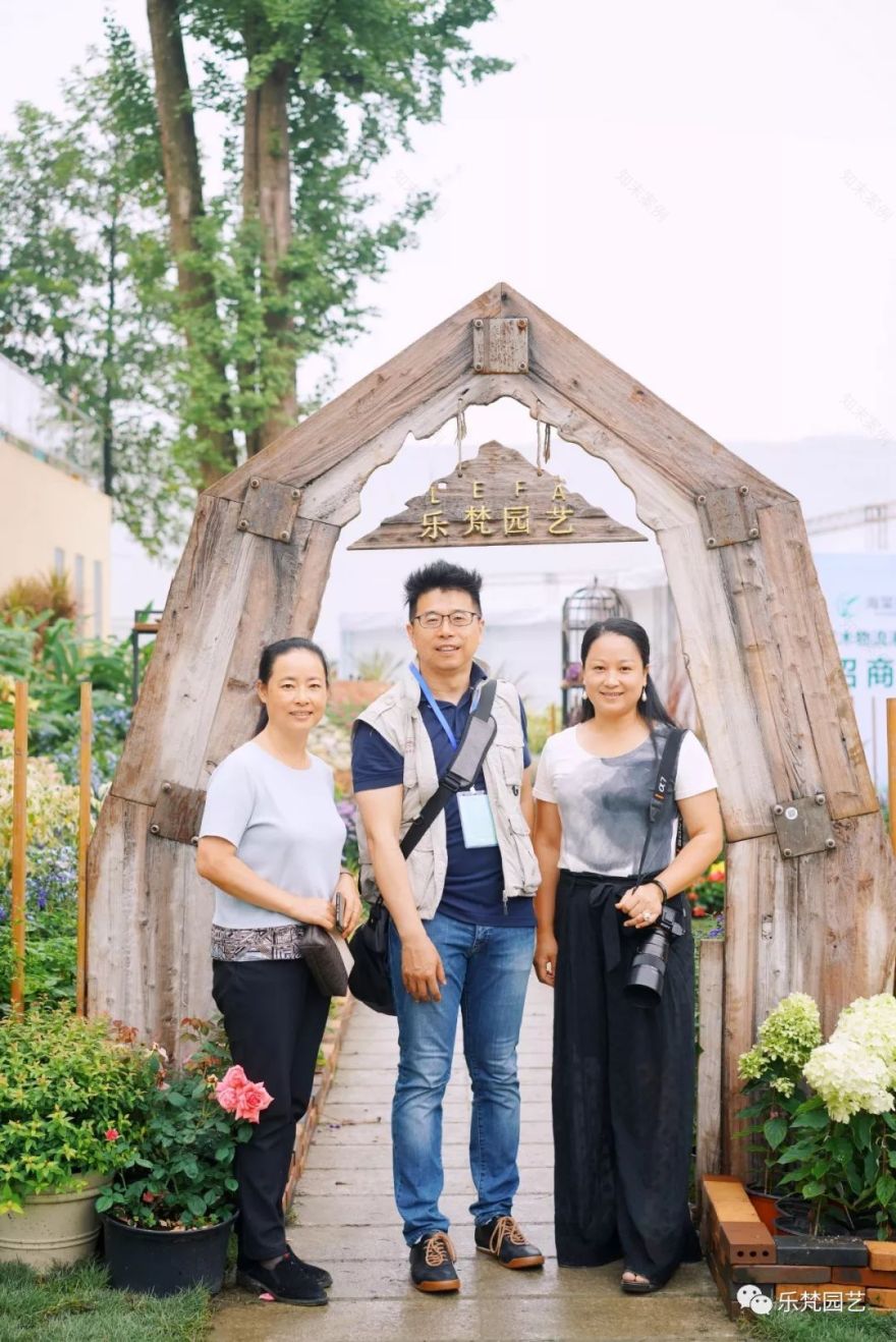 乐梵园艺打造成都花木博览会快闪花园,惊艳全场-46