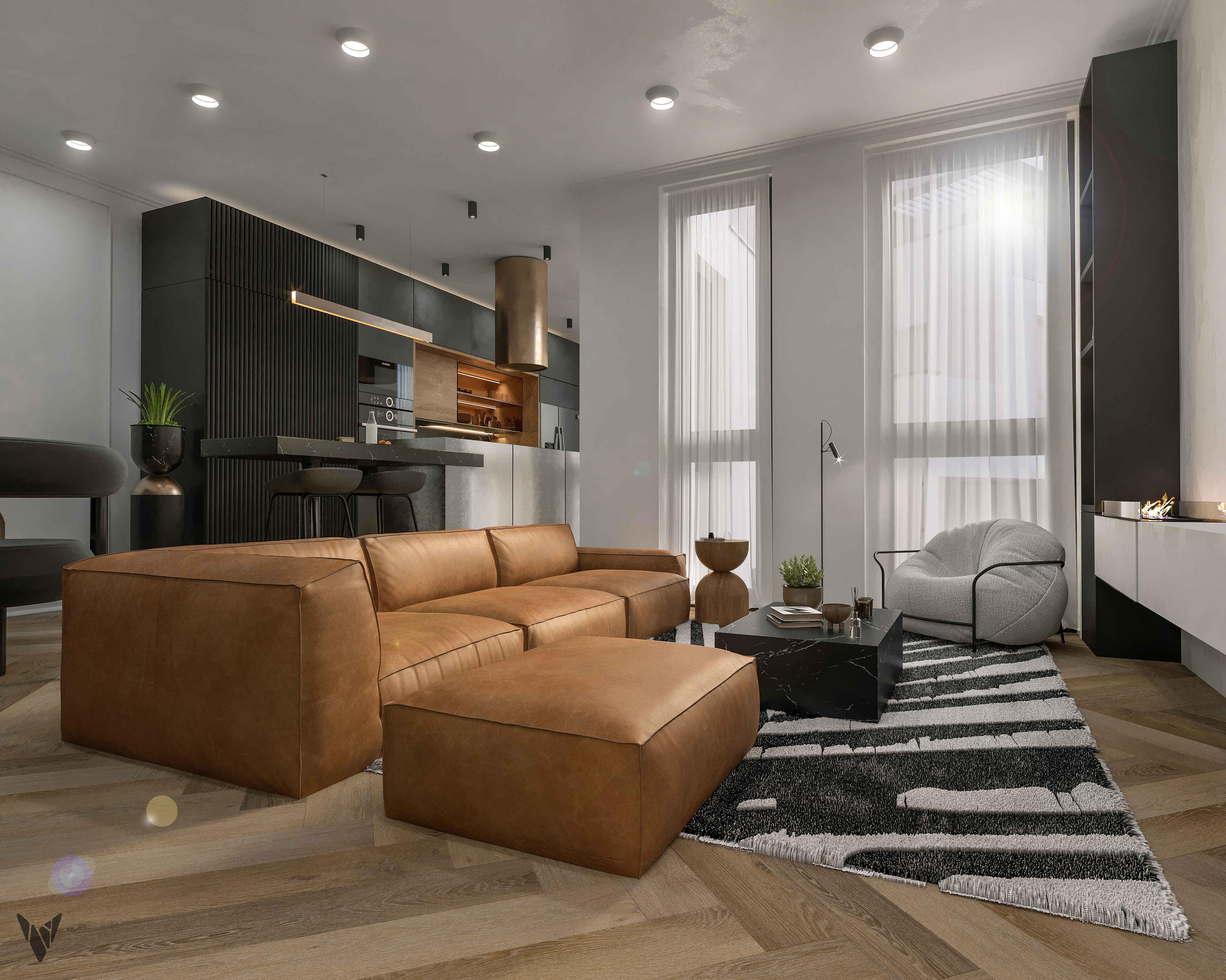 Black &White Modern Home-2