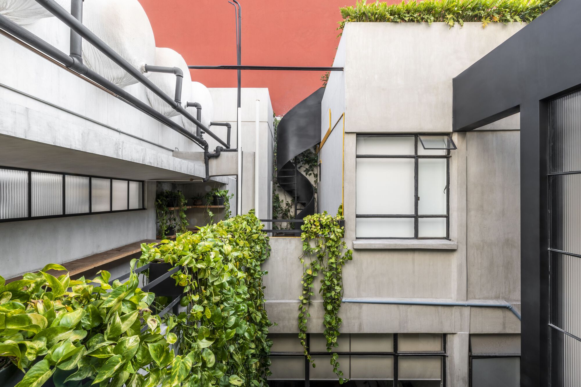 Pachuca 81 建筑改造丨墨西哥墨西哥城丨Namikase Studio-14