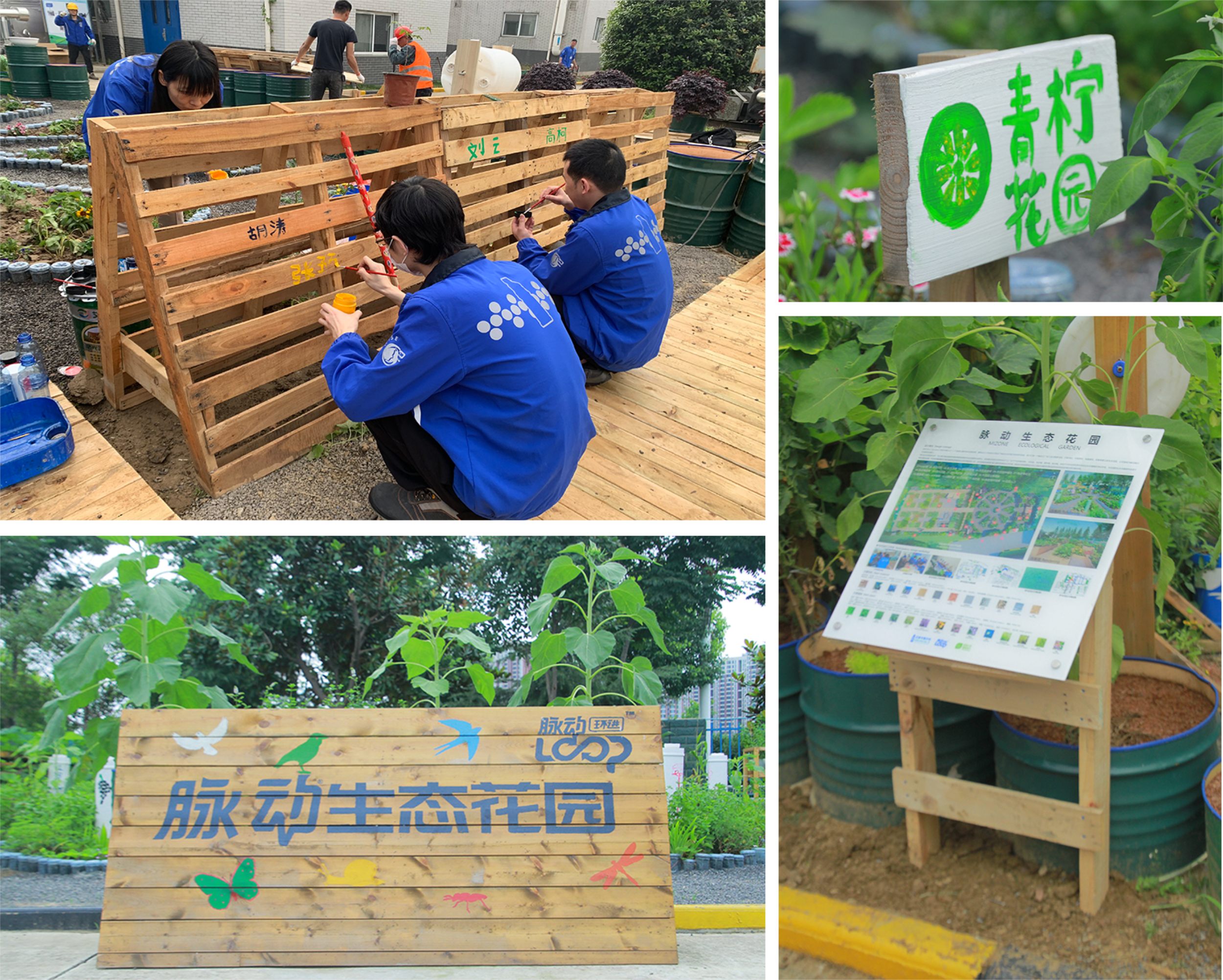 武汉脉动生态花园：一座由工厂废弃物建成的花园丨中国武汉丨盖娅朴门设计-10