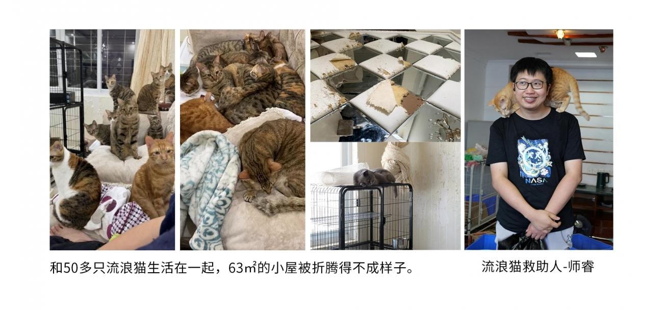 63㎡老房爆改流浪猫之家丨中国厦门丨理居设计-2