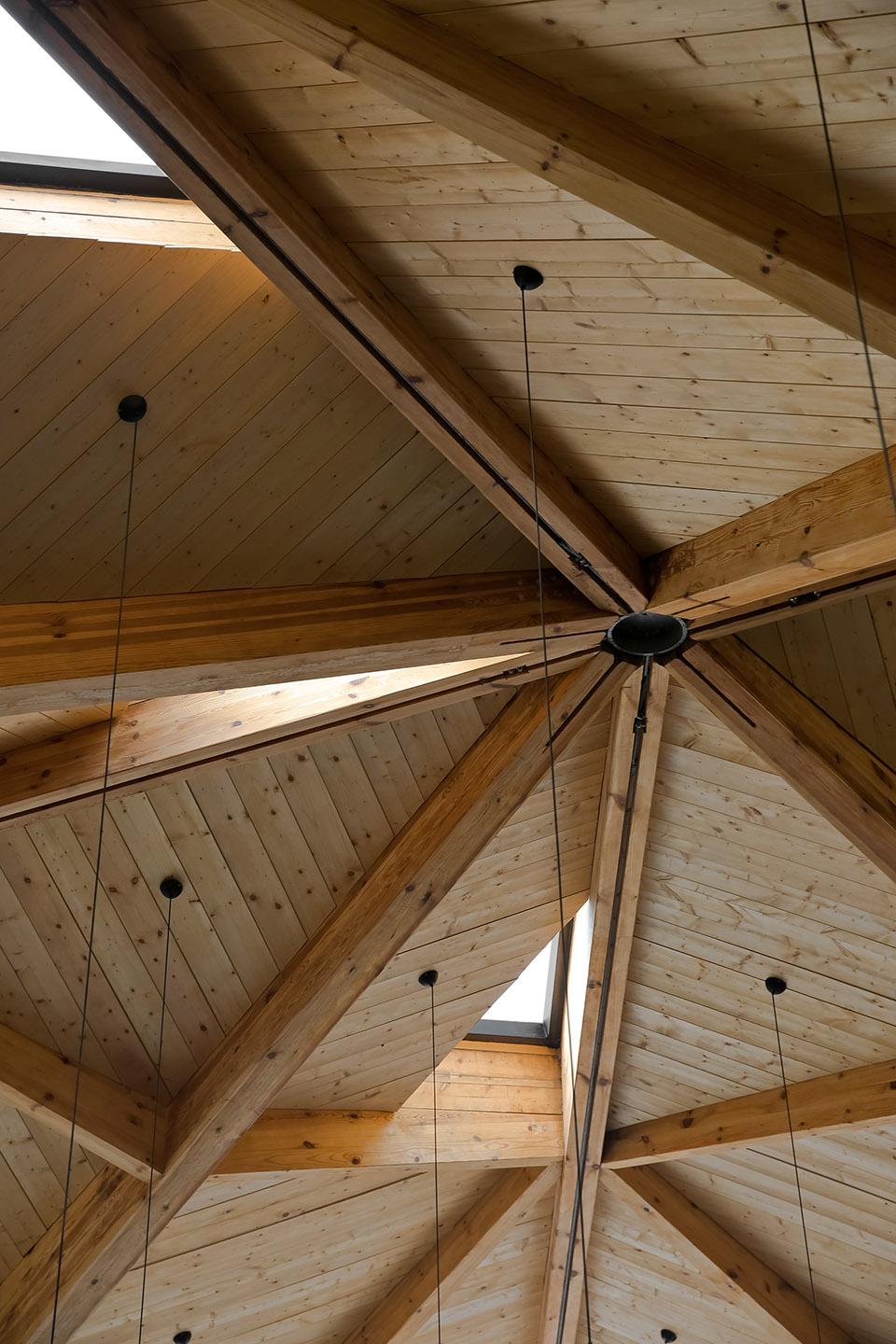 林建筑－与自然树木的共舞 / 迹·建筑事务所（华黎）-115