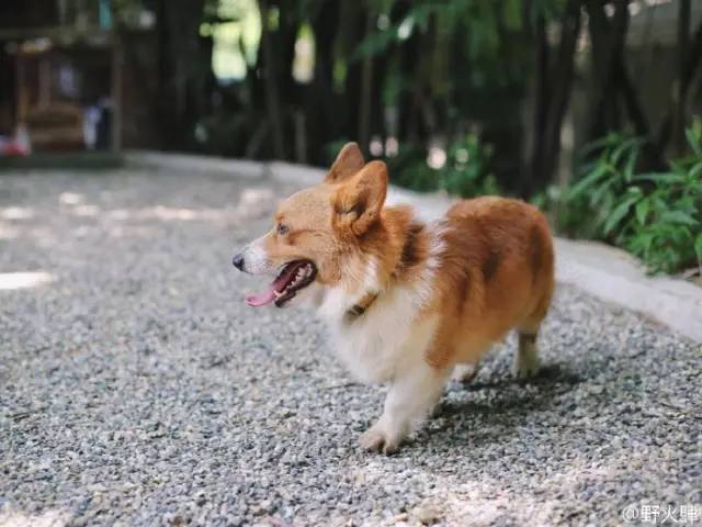 3个85后租下荒废院落,爆改成无数人的理想居所,仅花3万!-94