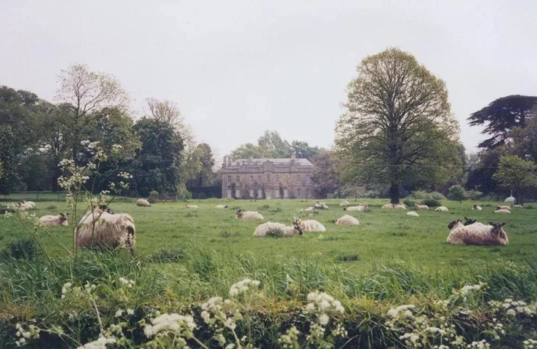 海格罗夫庄园 | 查尔斯王子的世外桃源-9