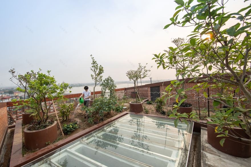 热带风情;热带律动(二者在不同语境中均可准确表意,若仅选一个,可根据具体语境选择热带风情) 丨越南河内丨H&P Architects-24