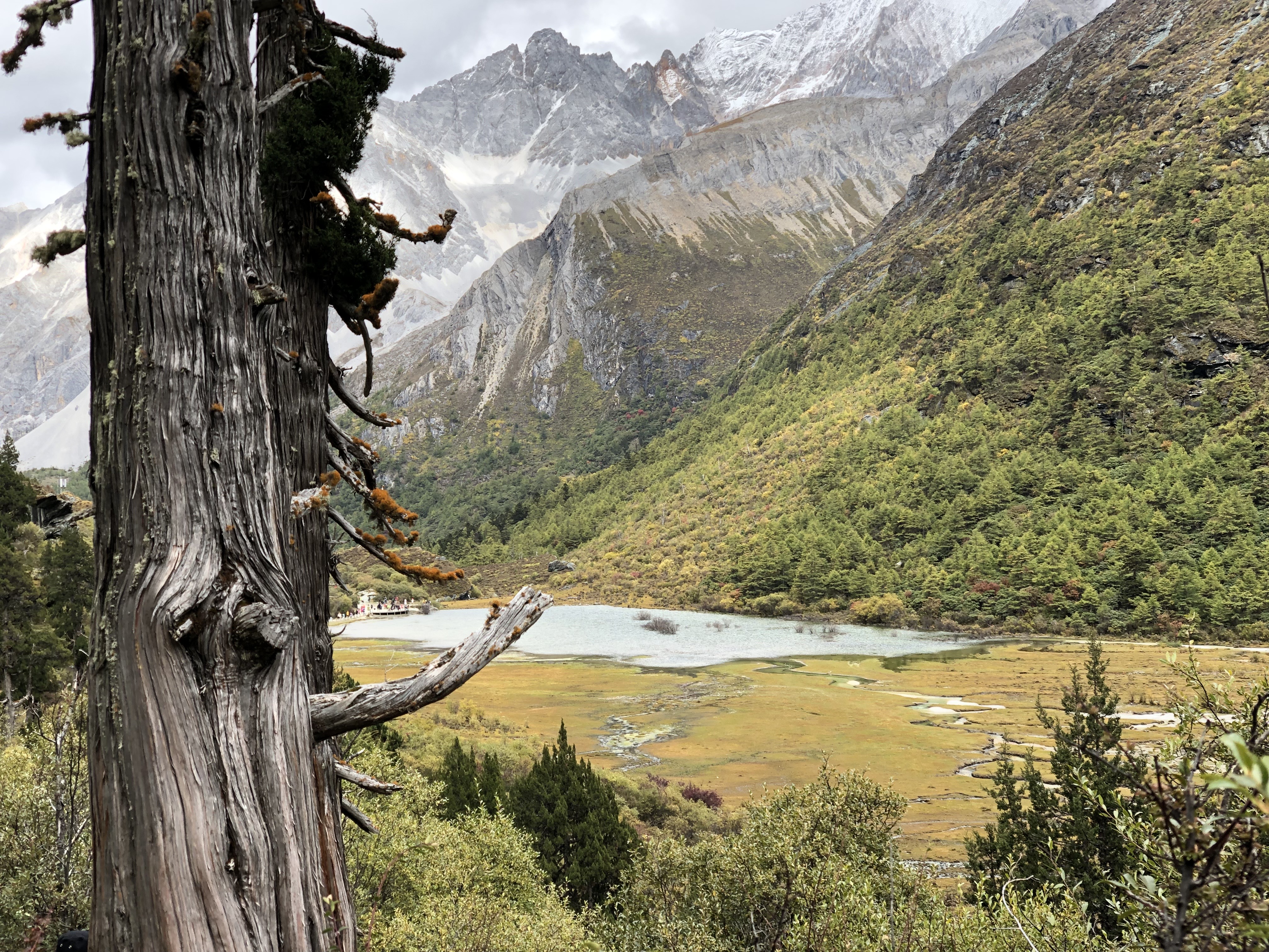 川西大环线相关设计项目（推测）丨也门亚丁-26