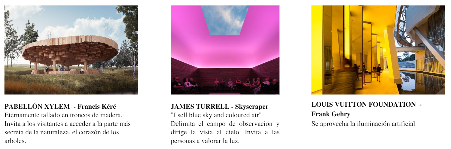 无尽的景色丨ANDREA WILLIAMSON CHAMÁS-27