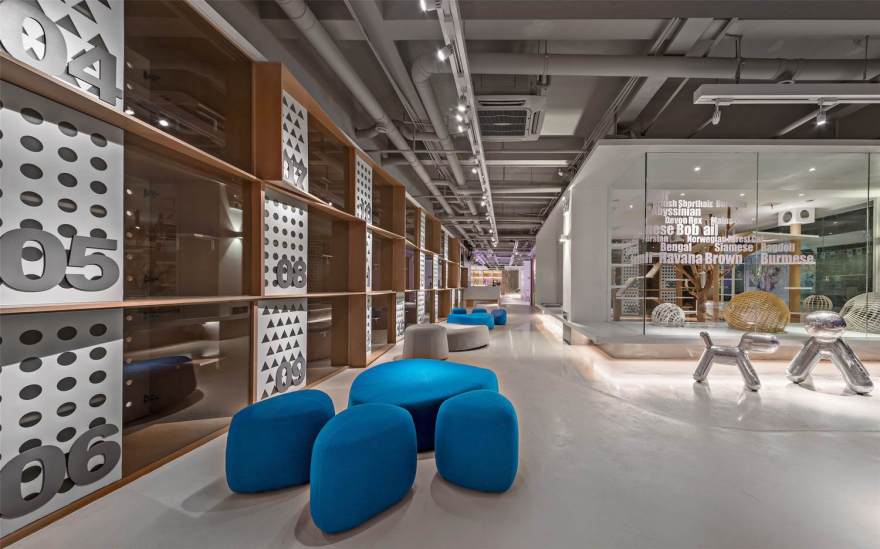 拿云设计丨Zero Pet club 宠物店-14