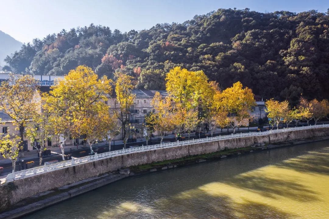 缙云老城溪滨南路有机更新丨中国丽水丨I Studio言吾建筑(浙建科院·许悦工作室)-22