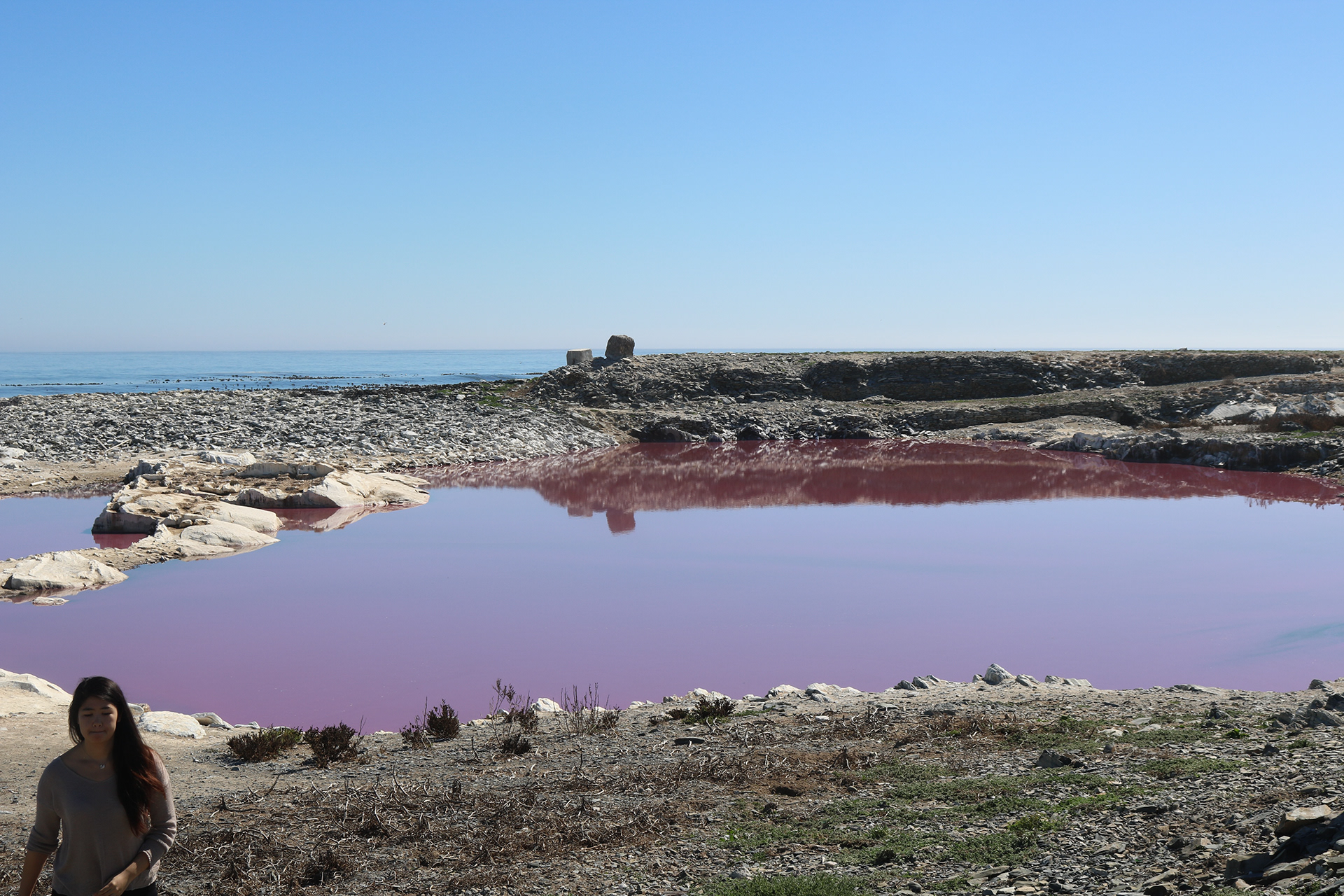 a creased history: UNFOLDING THE PAST-9