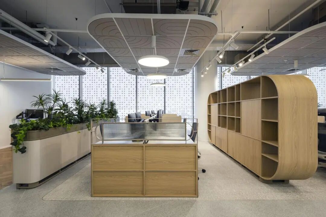BYD比亚迪以色列办公室丨A.R. Grinberg Architects-10