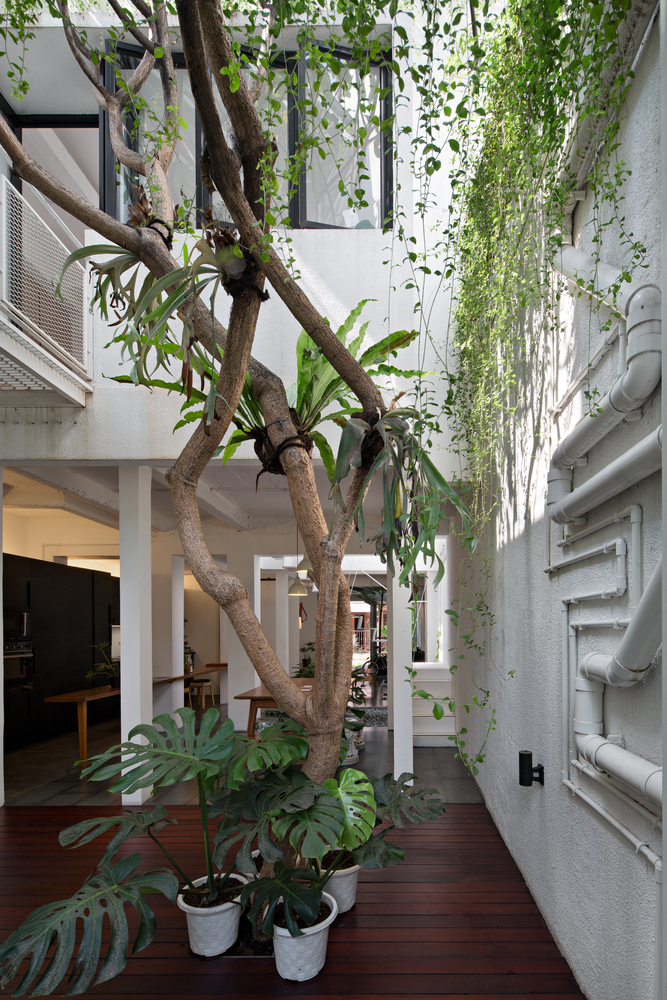 生长住宅 · 鲁马·格邦的互动生活空间-92