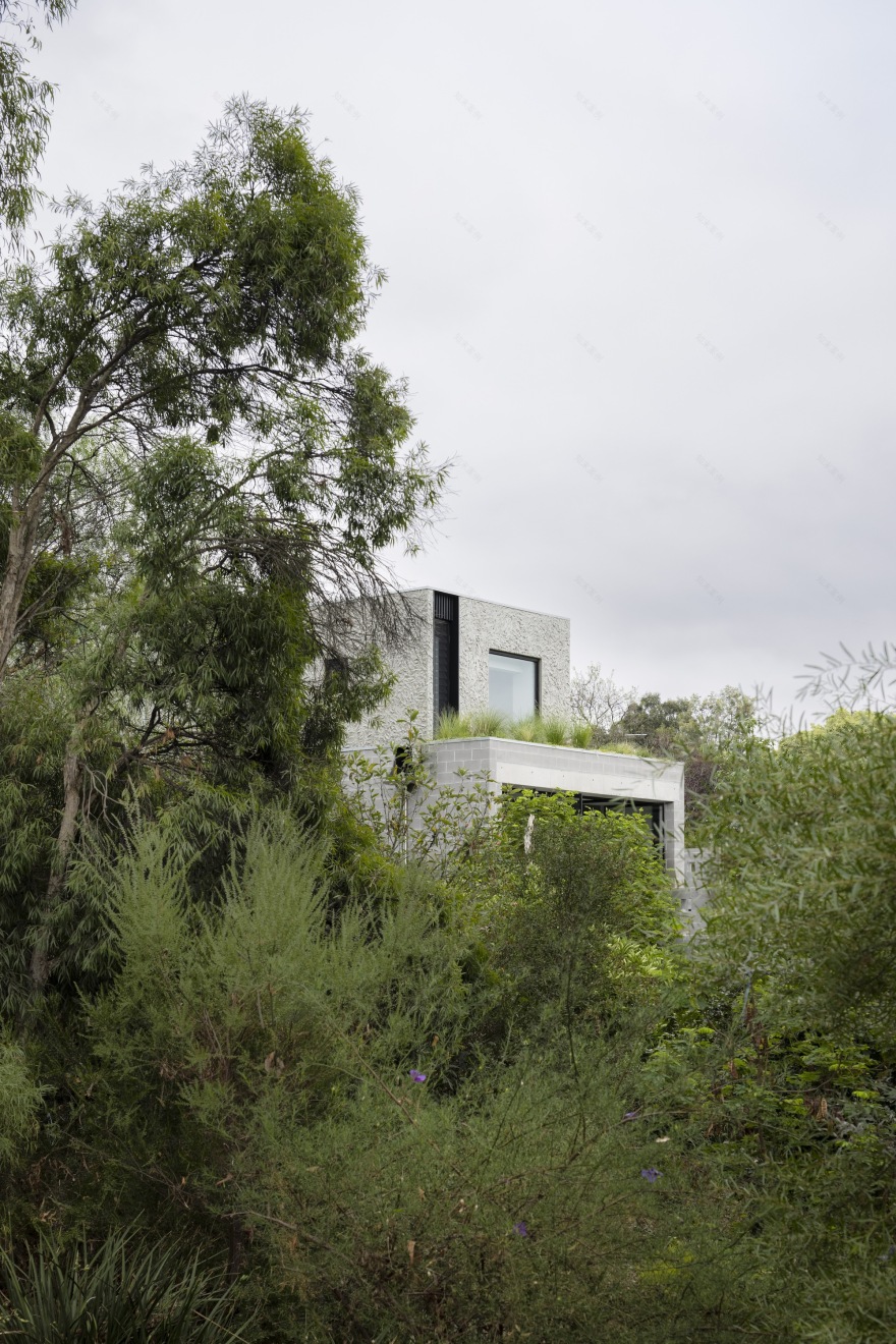 No·66 住宅丨澳大利亚墨尔本丨Tristan Burfield-31