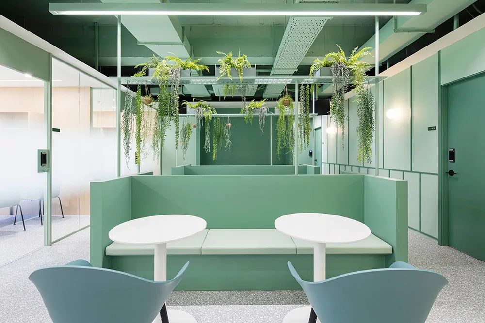 韩国Greengrass办公室丨Plainoddity-2