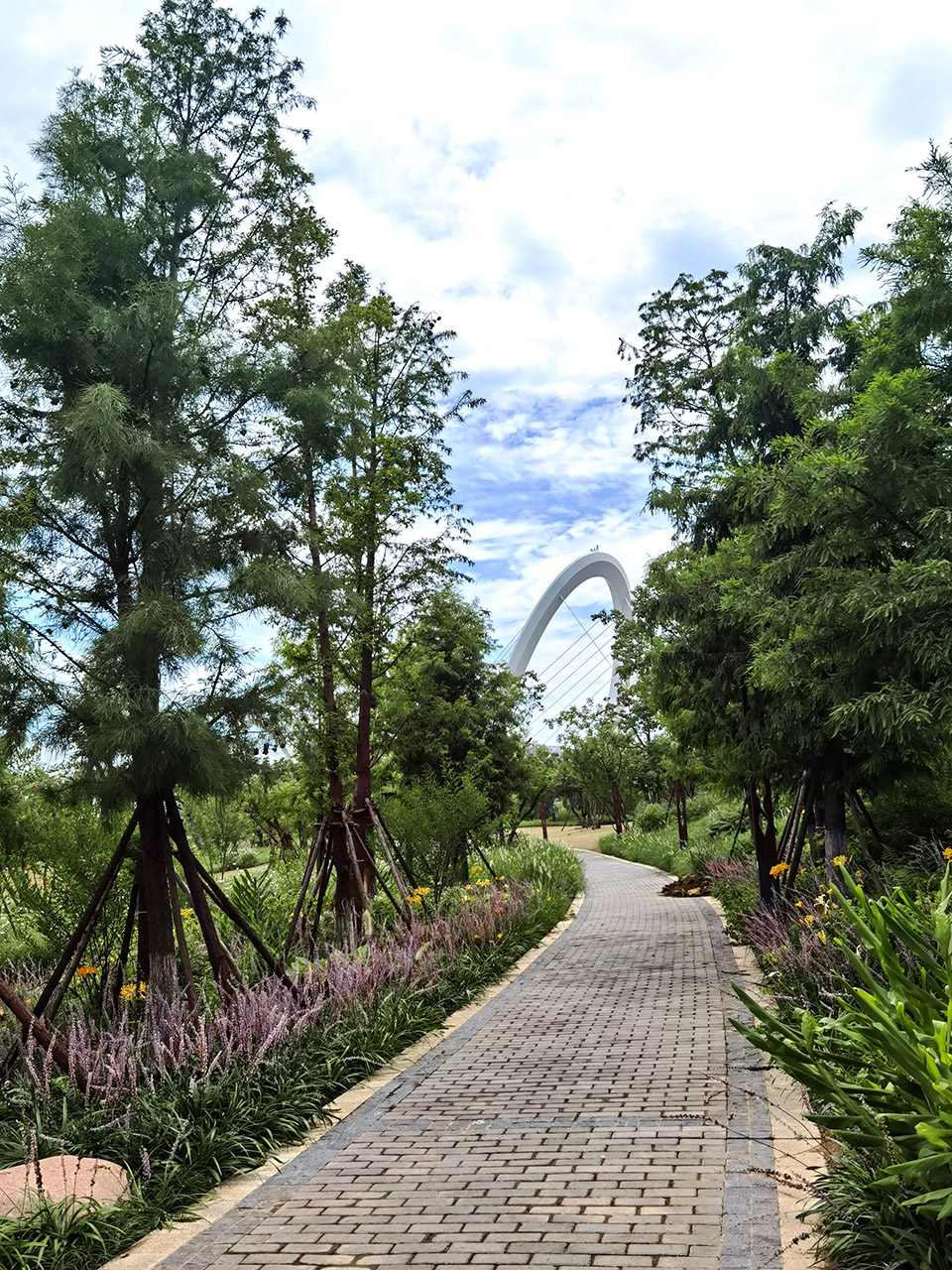 新加坡·南京生态科技岛-87