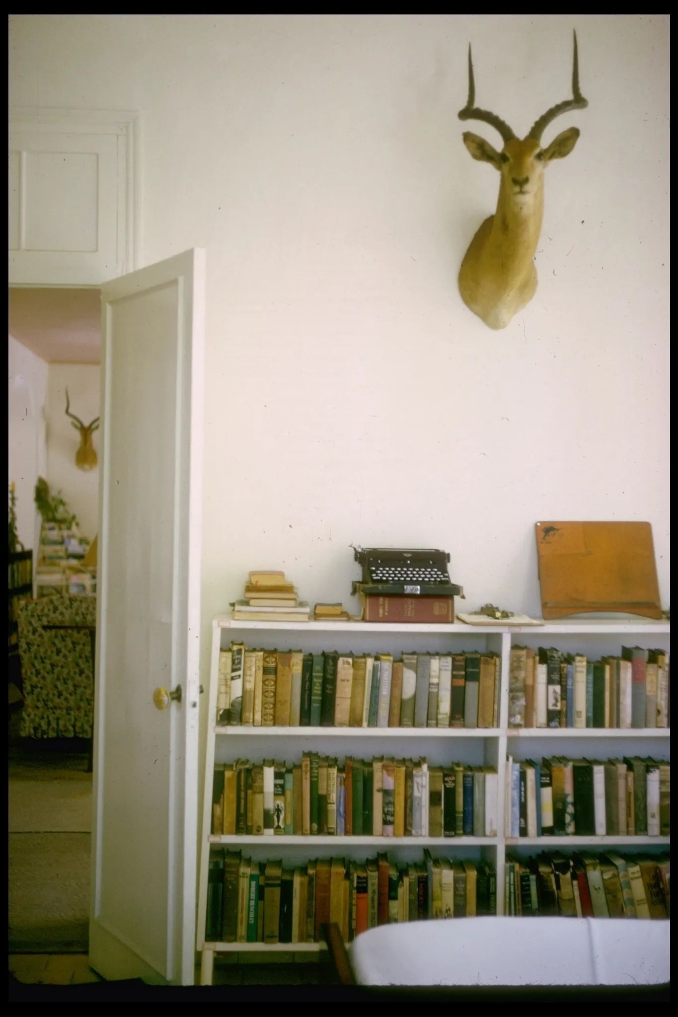 Finca Vigía（海明威故居）丨古巴哈瓦那丨建筑师米格尔·帕斯夸尔和巴格尔（西班牙加泰罗尼亚人）-49