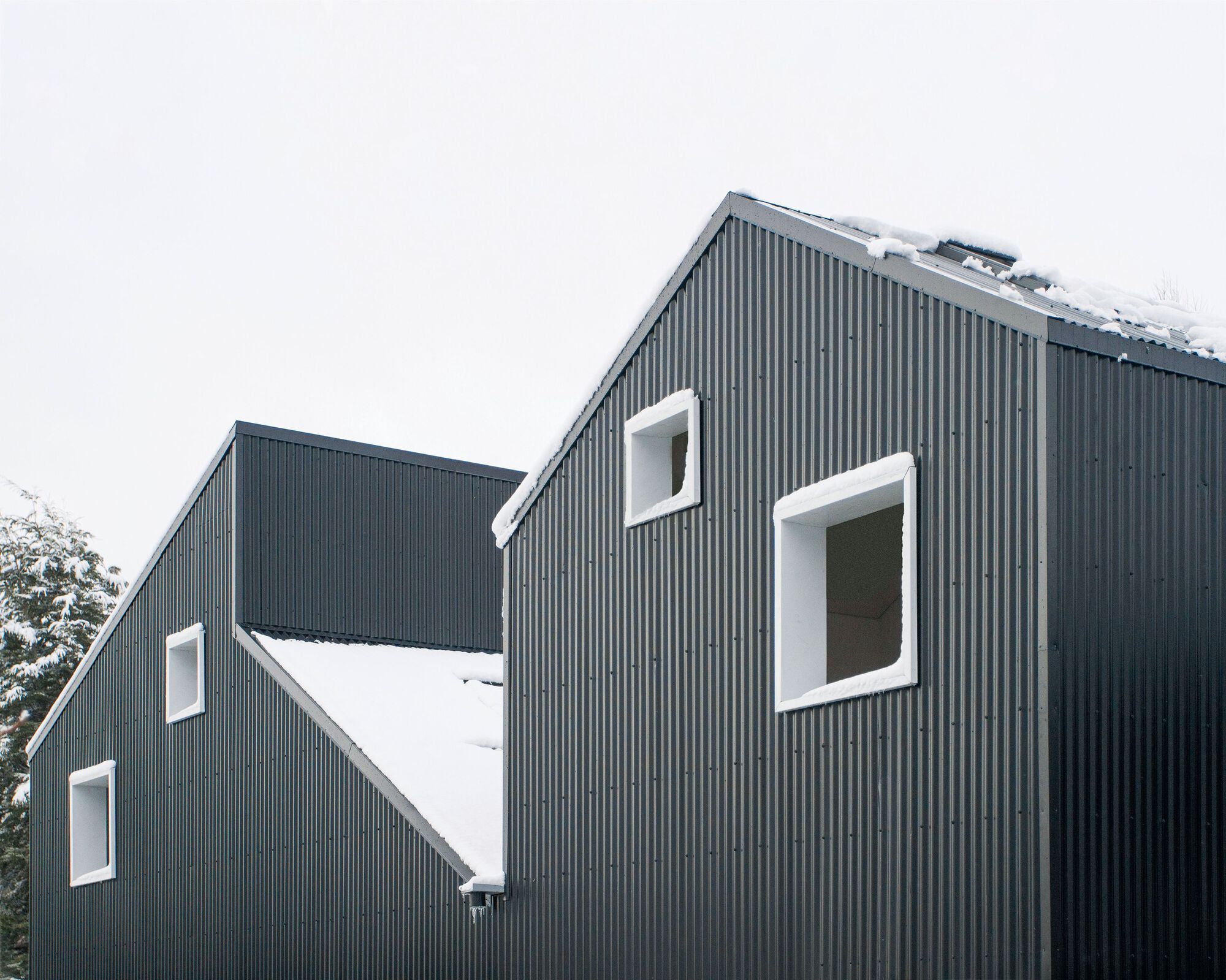 Domesticated Mountain Housing Complex / Estudio Botteri-Connell-11