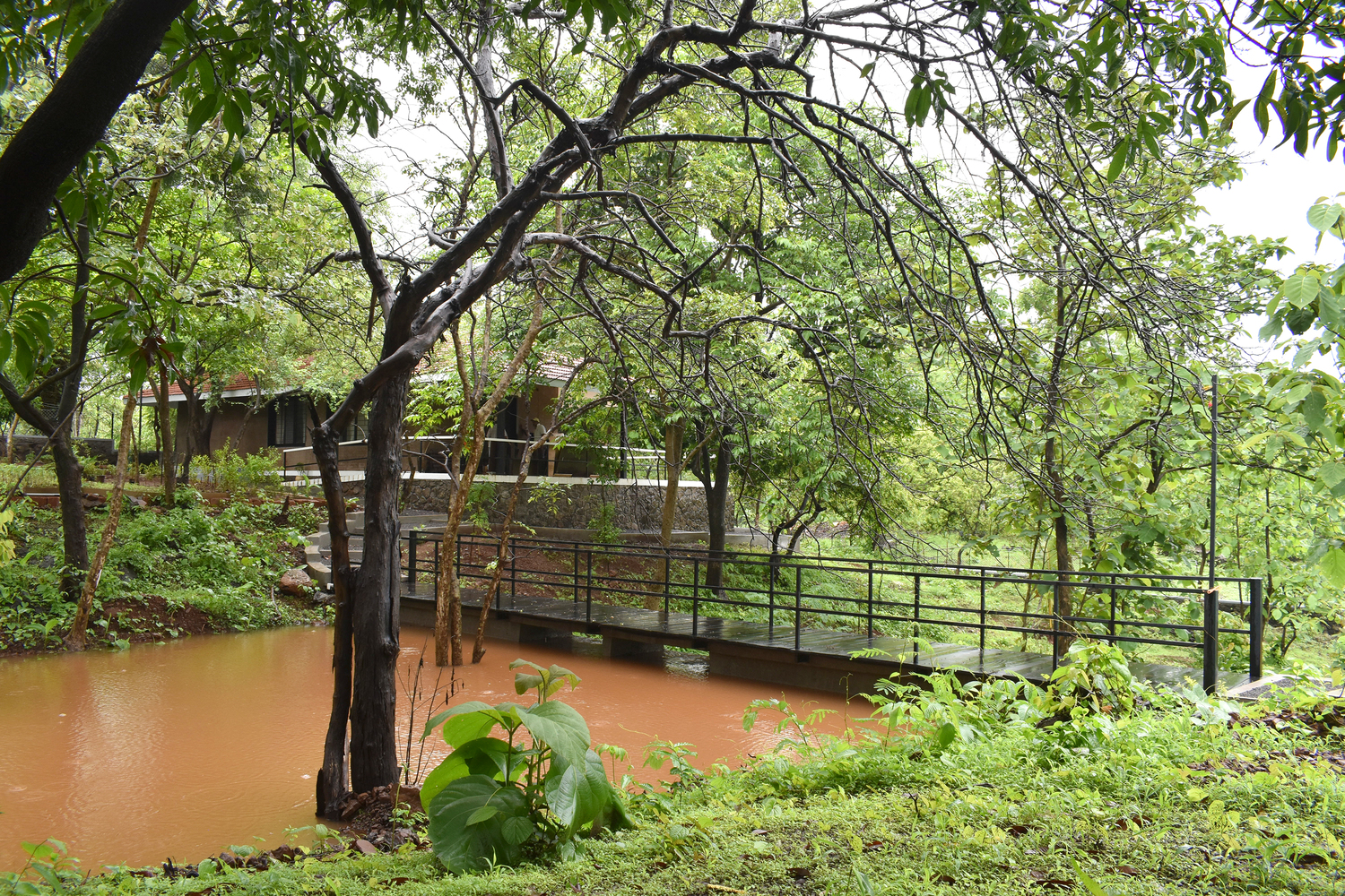 印度 Karjat 市 The Bridge Dam丨architecture INNATE-22